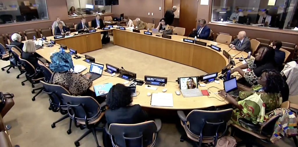 35th meeting of treaty body chairs (May 30, 2023)