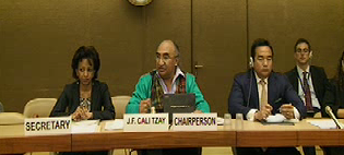 The Committee on the Elimination of Racial Discrimination reviews the United States