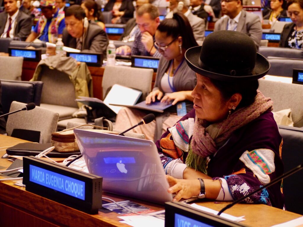 Maria Eugenia Choque Quispe, a member of the UN Permanent Forum on Indigenous Issues, speaks at the body's 2015 session.